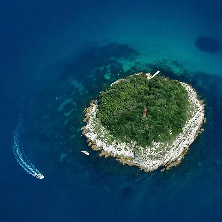 Diana Pore Porec